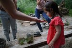 gal/diverses/Naturschutzverein/2018/Gillhof_05062018/_thb_DSC02959.JPG