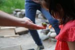 gal/diverses/Naturschutzverein/2018/Gillhof_05062018/_thb_DSC02961.JPG