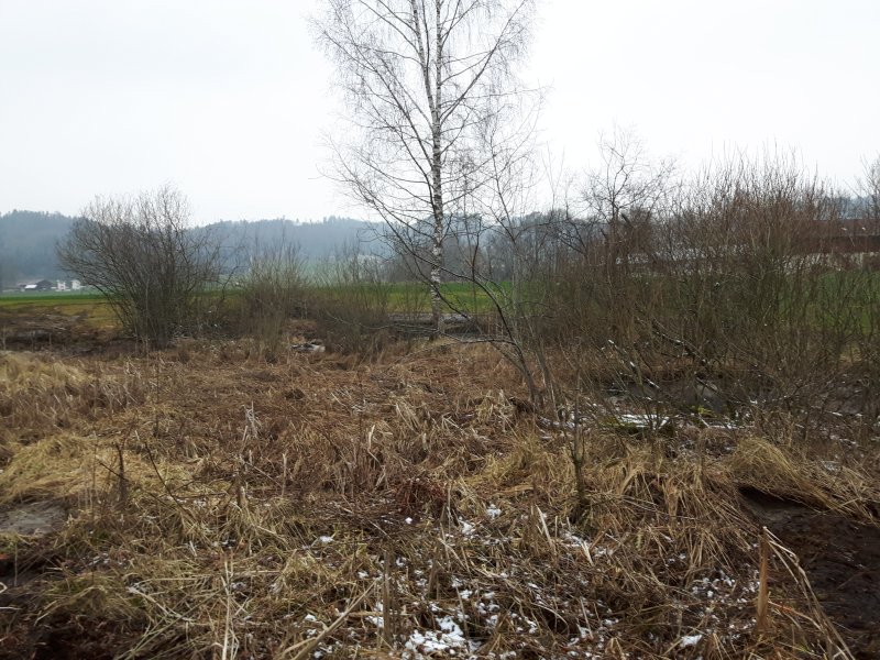 gal/diverses/Naturschutzverein/2018/Hasenholz_08022018/20180208_144802.jpg