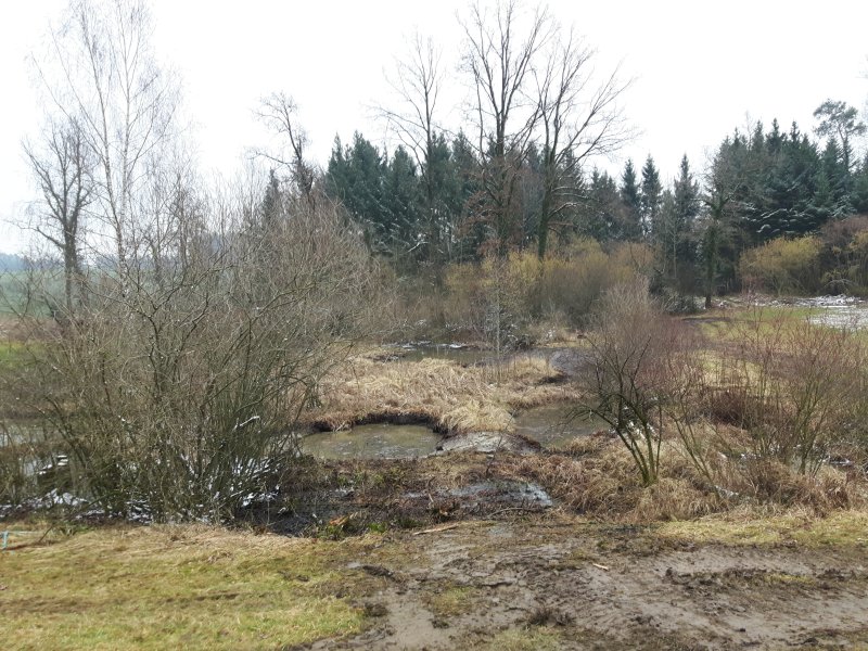 gal/diverses/Naturschutzverein/2018/Hasenholz_08022018/20180208_150432.jpg