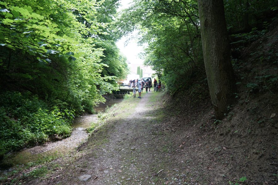 gal/diverses/Naturschutzverein/2019/Holenstein15062019/DSC05645.JPG