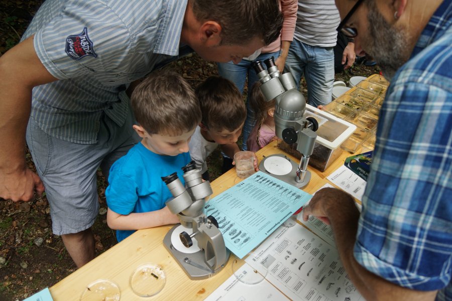 gal/diverses/Naturschutzverein/2019/Holenstein15062019/DSC05655.JPG