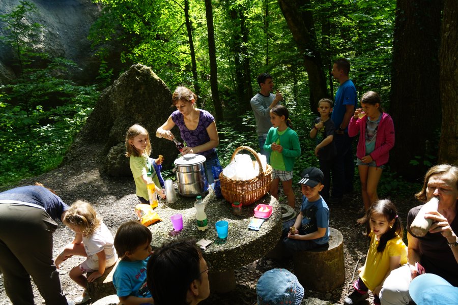gal/diverses/Naturschutzverein/2019/Holenstein15062019/DSC05662.JPG