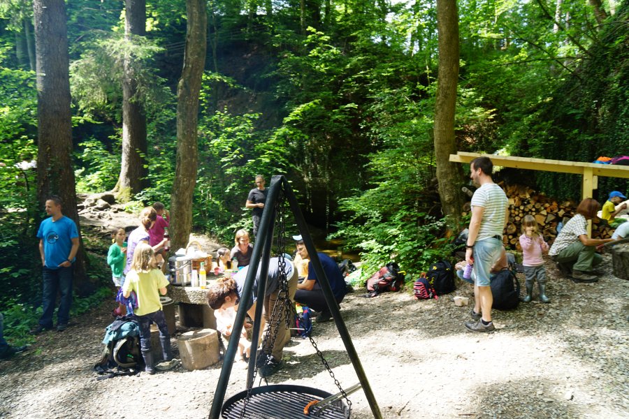 gal/diverses/Naturschutzverein/2019/Holenstein15062019/DSC05663.JPG