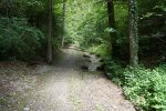gal/diverses/Naturschutzverein/2019/Holenstein15062019/_thb_DSC05643.JPG
