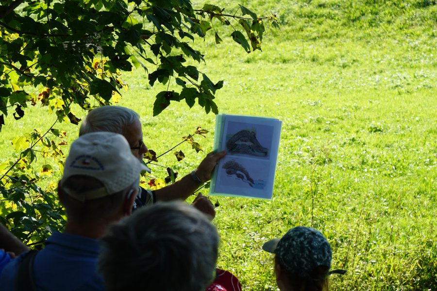 gal/diverses/Naturschutzverein/2021/DSC07877.JPG
