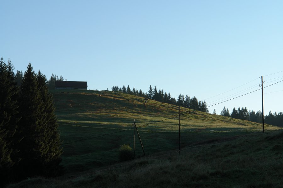 gal/diverses/Sattelegg08/DSC01910.JPG