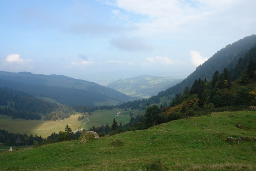 gal/diverses/Steintal_270909/DSC09596.JPG