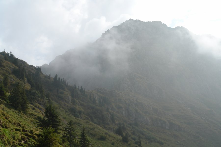 gal/diverses/Steintal_270909/DSC09599.JPG