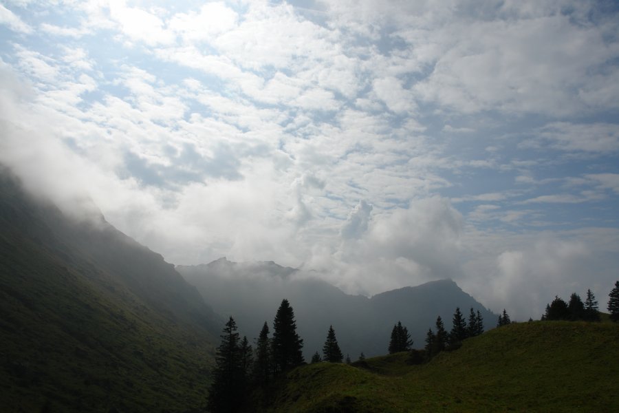 gal/diverses/Steintal_270909/DSC09602.JPG