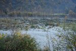 gal/diverses/Tessin08/_thb_DSC02920.JPG