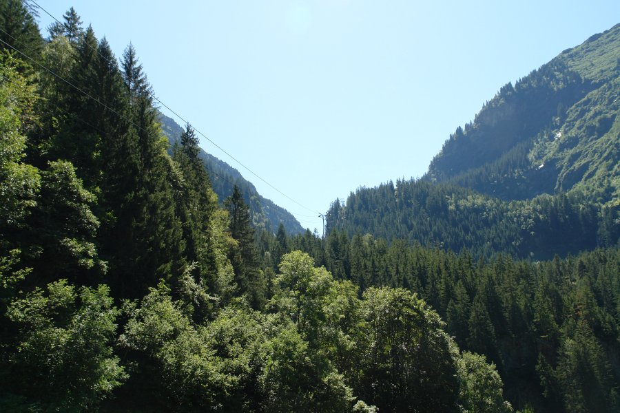 gal/diverses/Toefftour290709/DSC07947.JPG