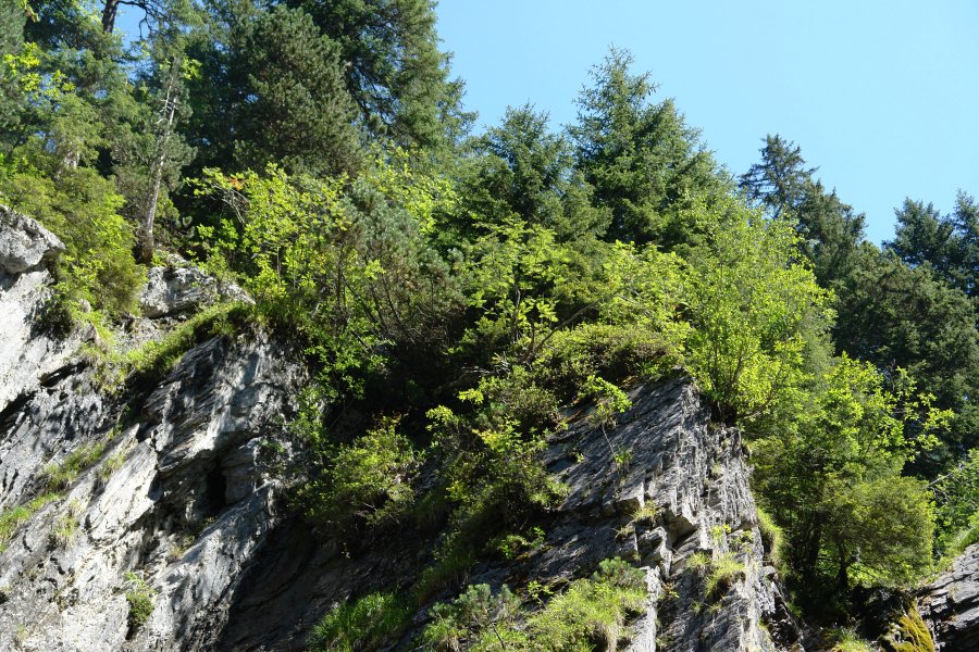 gal/diverses/Toefftour290709/DSC07978.JPG