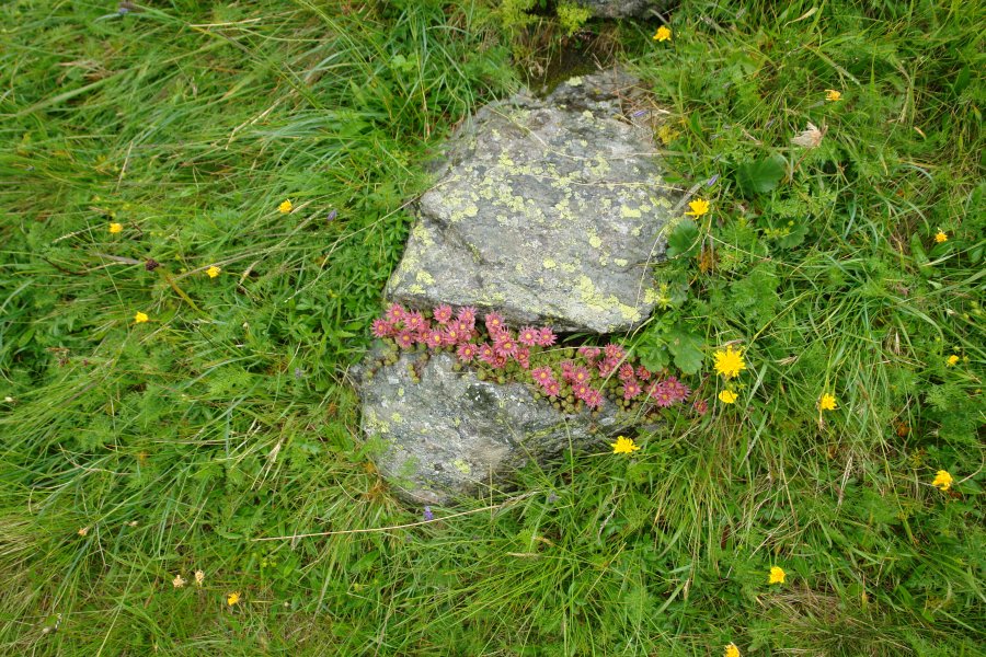 gal/diverses/ValSumvitg09/DSC07673.JPG