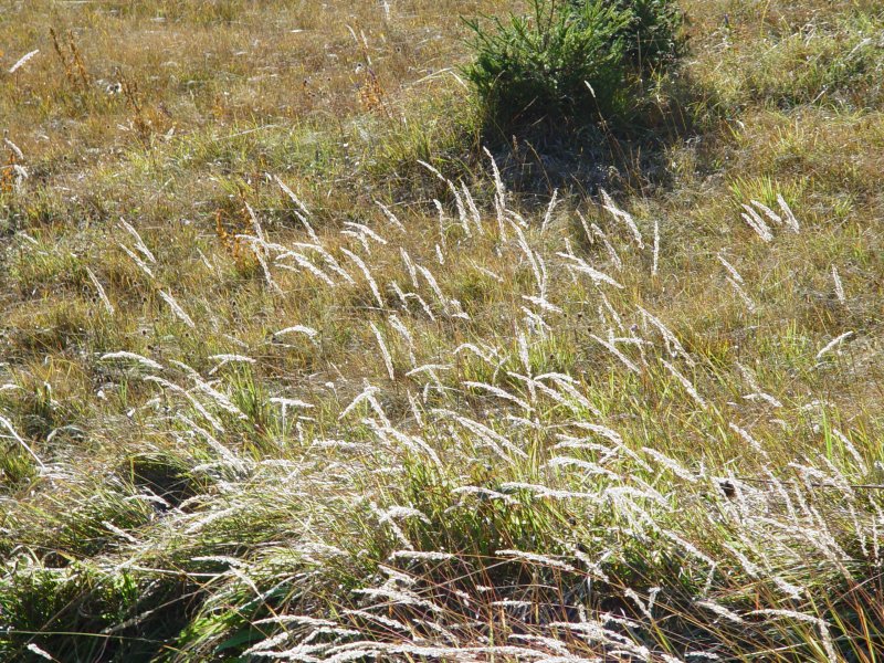 gal/diverses/herbstferien07/DSC04664.JPG