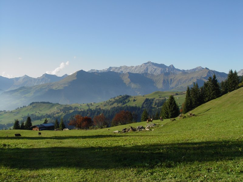 gal/diverses/herbstferien07/DSC04672.JPG