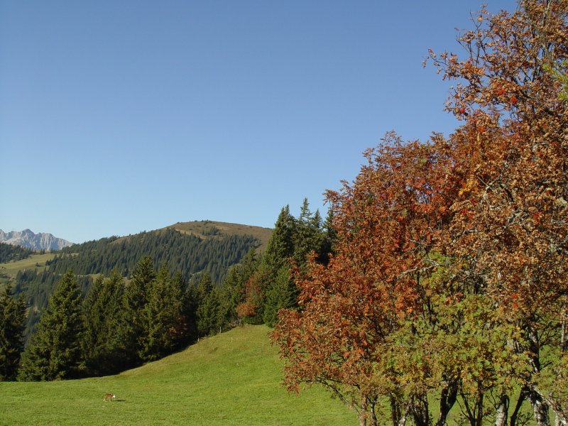 gal/diverses/herbstferien07/DSC04688.JPG
