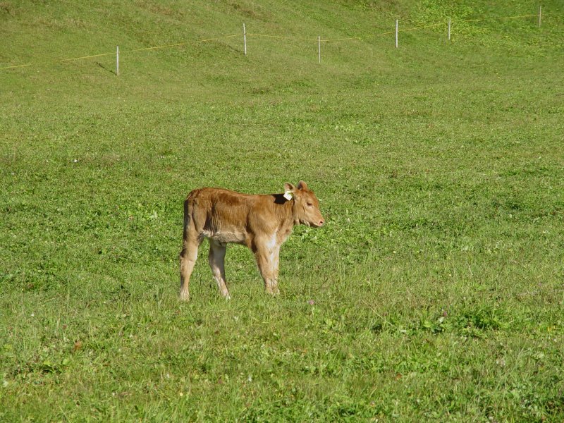 gal/diverses/herbstferien07/DSC04692.JPG