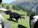 gal/diverses/herbstferien07/_thb_DSC04590.JPG