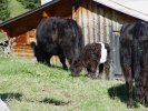 gal/diverses/herbstferien07/_thb_DSC04593.JPG