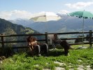 gal/diverses/herbstferien07/_thb_DSC04602.JPG