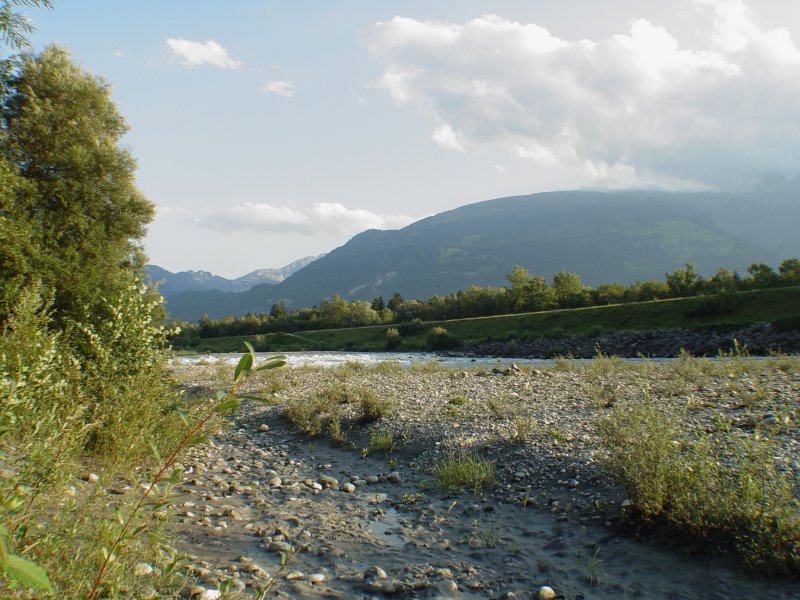 gal/diverses/openairsargans/DSC04248.JPG