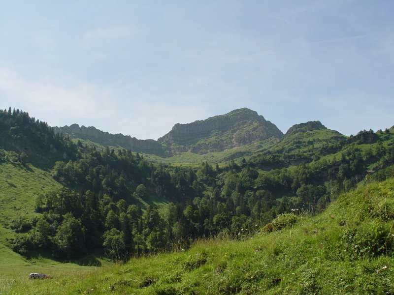 gal/diverses/steintal_rietbach/DSC03065.JPG