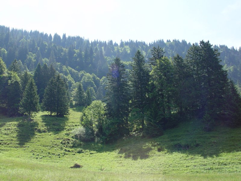 gal/diverses/steintal_rietbach/DSC03069.JPG