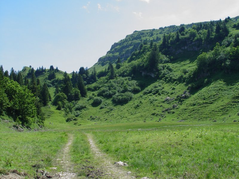 gal/diverses/steintal_rietbach/DSC03071.JPG