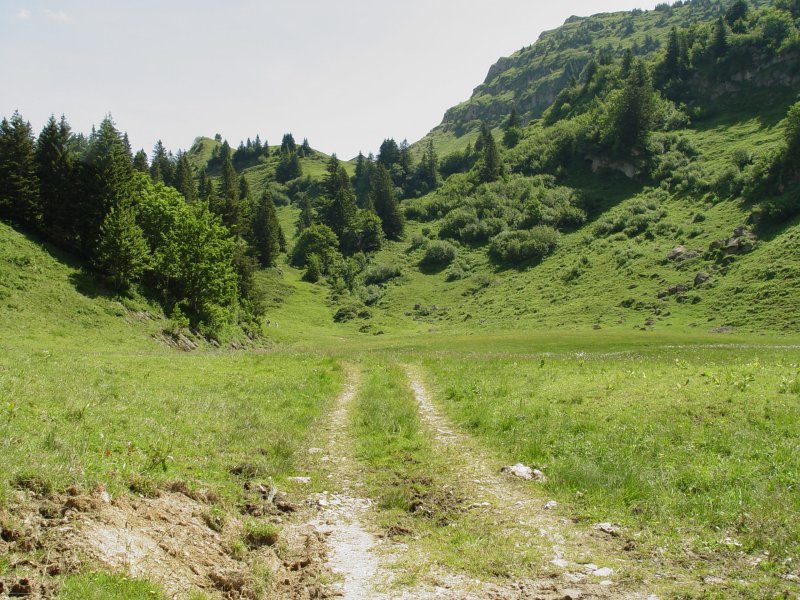 gal/diverses/steintal_rietbach/DSC03072.JPG