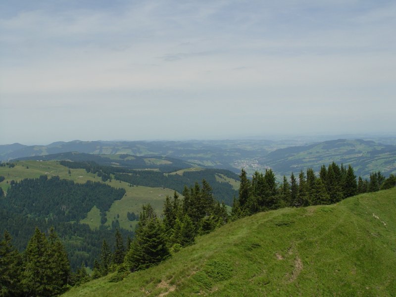gal/diverses/steintal_rietbach/DSC03075.JPG