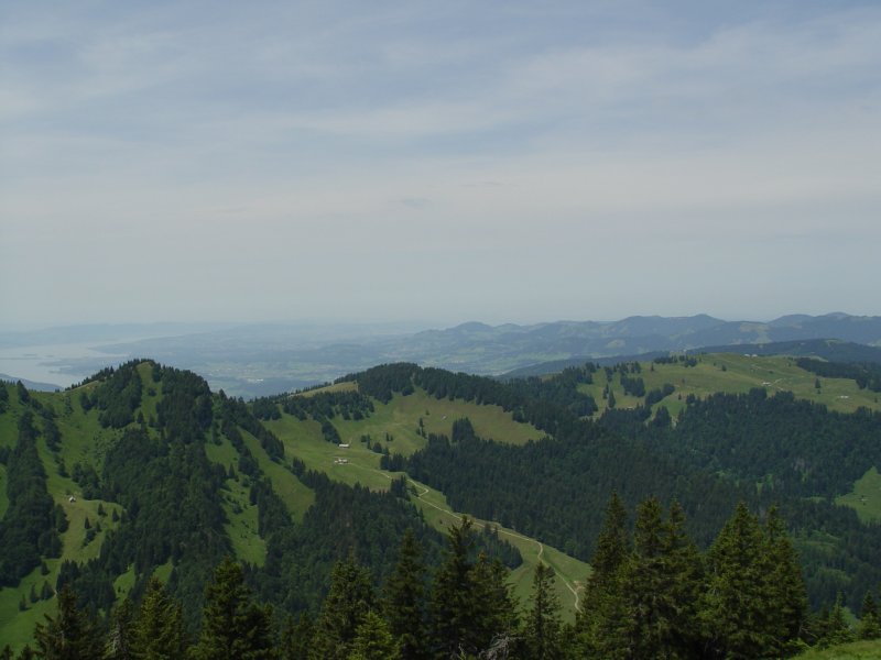 gal/diverses/steintal_rietbach/DSC03076.JPG