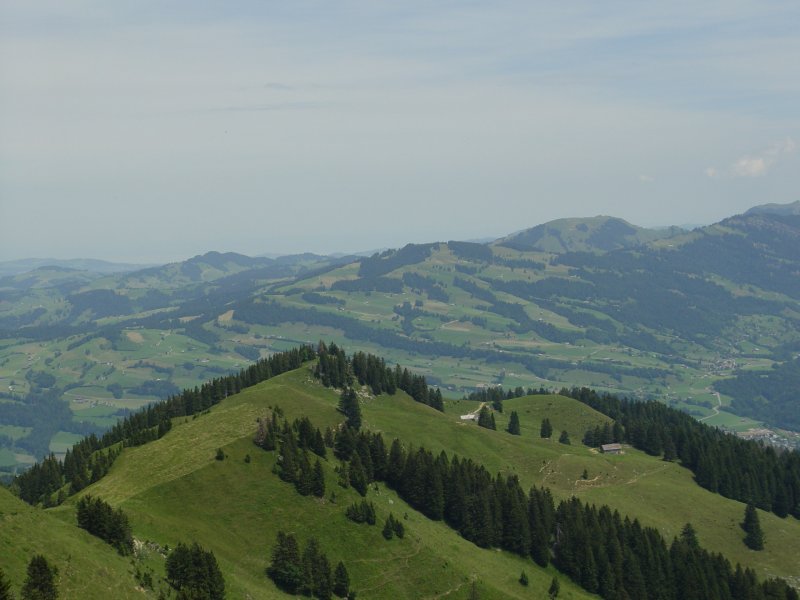 gal/diverses/steintal_rietbach/DSC03083.JPG