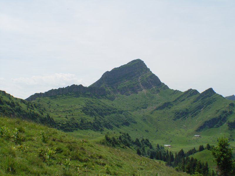 gal/diverses/steintal_rietbach/DSC03084.JPG