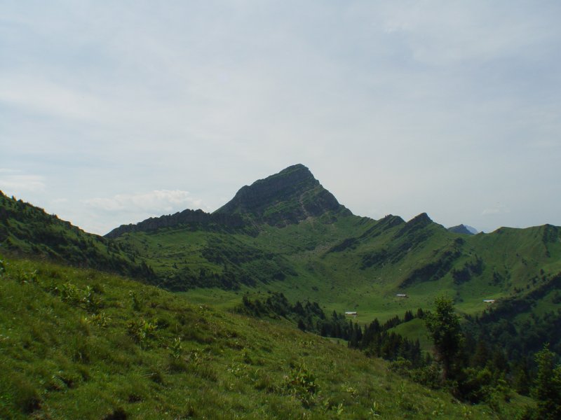 gal/diverses/steintal_rietbach/DSC03085.JPG