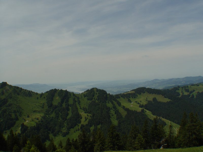 gal/diverses/steintal_rietbach/DSC03087.JPG
