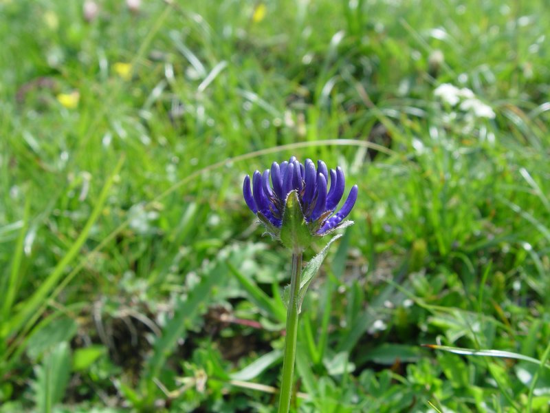 gal/diverses/steintal_rietbach/DSC03092.JPG