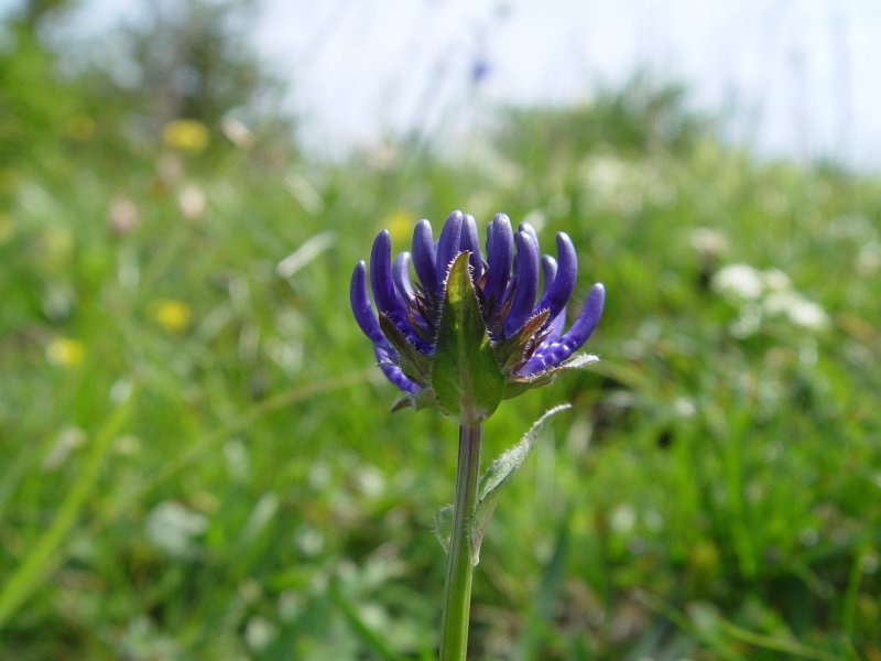 gal/diverses/steintal_rietbach/DSC03093.JPG
