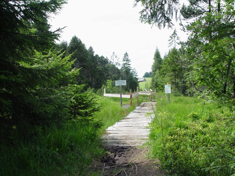 gal/diverses/steintal_rietbach/DSC03099.JPG