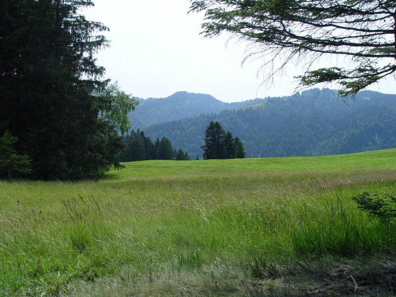 gal/diverses/steintal_rietbach/DSC03100.JPG
