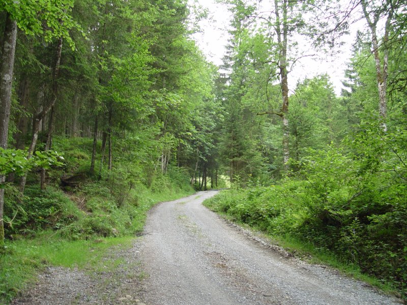 gal/diverses/steintal_rietbach/DSC03116.JPG
