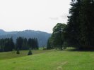 gal/diverses/steintal_rietbach/_thb_DSC03106.JPG