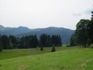 gal/diverses/steintal_rietbach/_thb_DSC03107.JPG