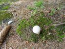 gal/diverses/steintal_rietbach/_thb_DSC03108.JPG