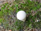gal/diverses/steintal_rietbach/_thb_DSC03109.JPG