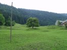 gal/diverses/steintal_rietbach/_thb_DSC03114.JPG