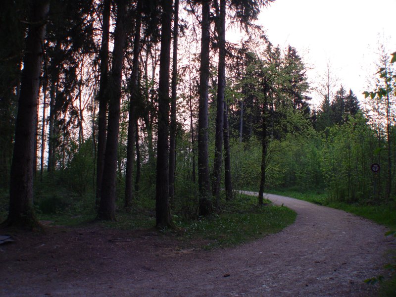 gal/diverses/walpurgisnacht07/DSC02493.JPG