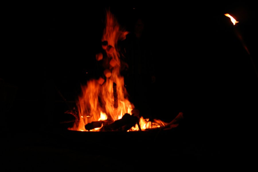 gal/diverses/walpurgisnacht10/DSC01388.JPG