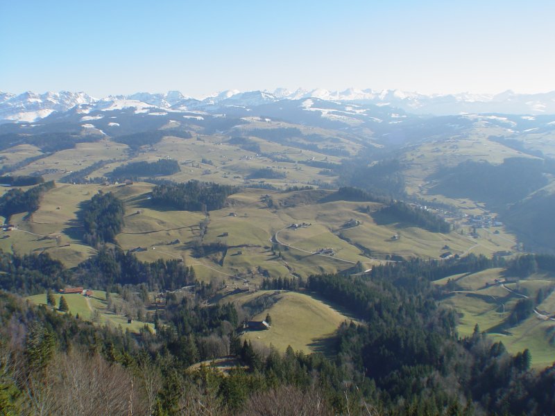gal/diverses/wilket/DSC05643.JPG