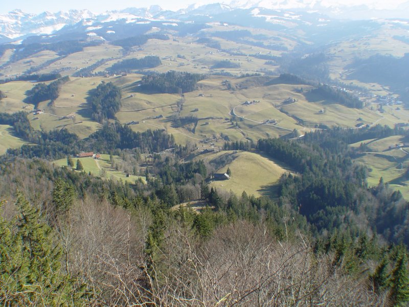gal/diverses/wilket/DSC05644.JPG